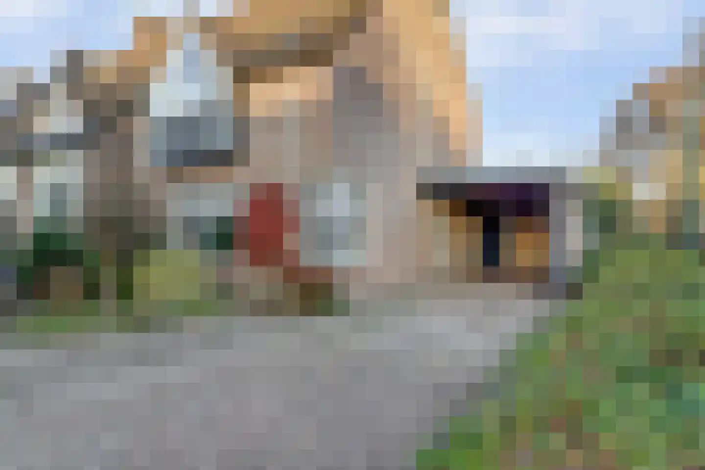Het Ronsel 30 Bergeijk thumbnail 4