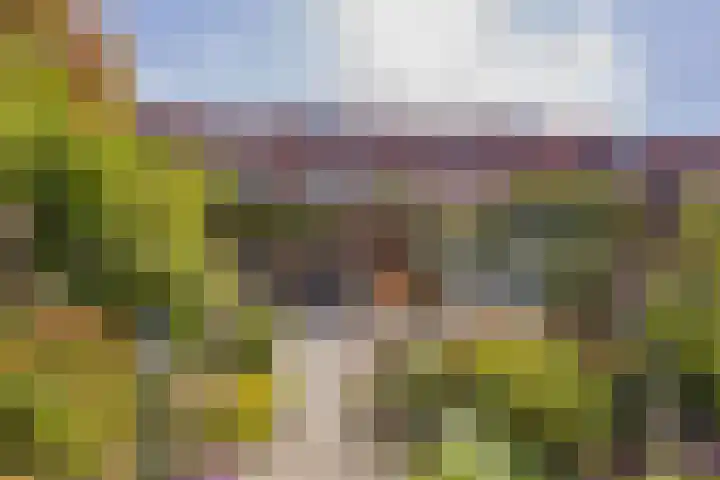 Het Ronsel 30 Bergeijk thumbnail 40