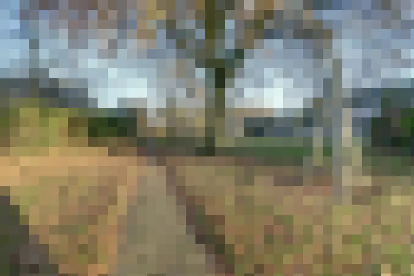 Het Ronsel 30 Bergeijk thumbnail 52