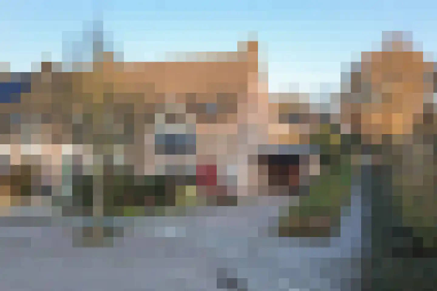 Het Ronsel 30 Bergeijk thumbnail 55