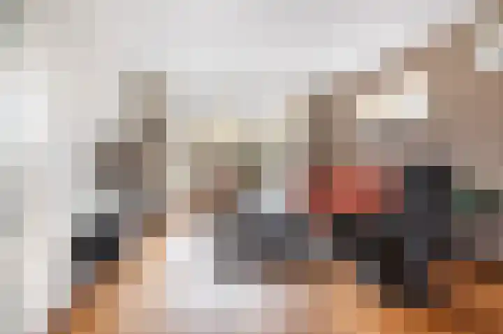 Het Ronsel 30 Bergeijk thumbnail 58