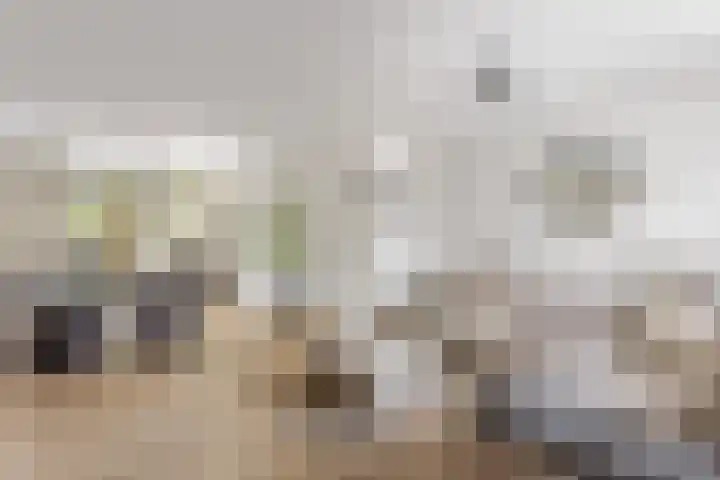 Het Ronsel 30 Bergeijk thumbnail 59