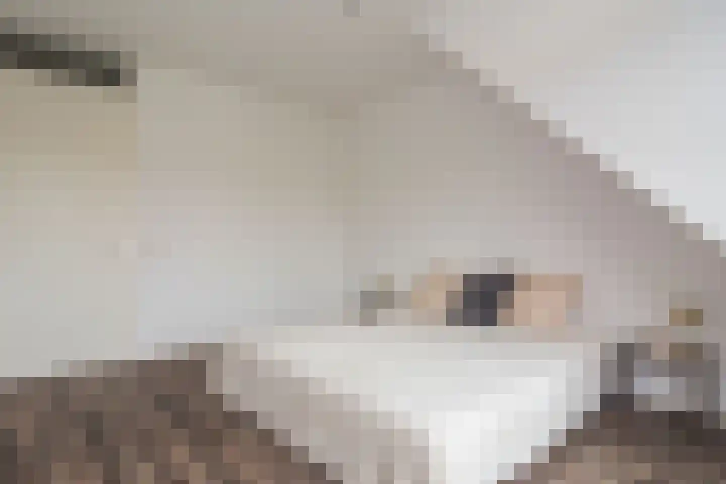 Het Roombeekhofje 8 Enschede thumbnail 18
