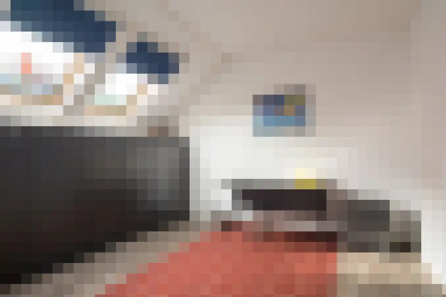 Het Roombeekhofje 8 Enschede thumbnail 19