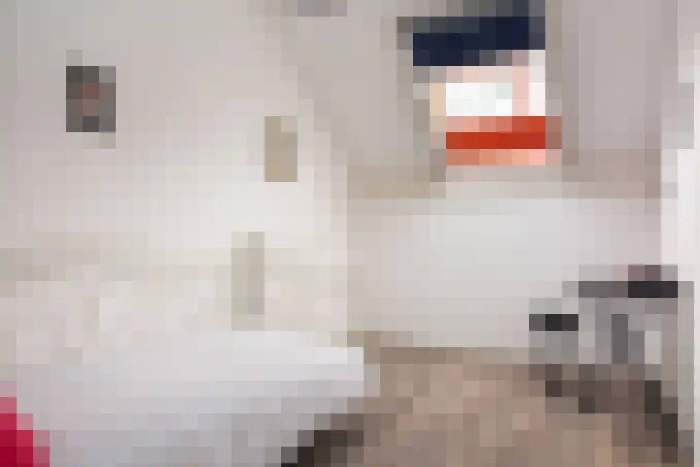 Het Roombeekhofje 8 Enschede thumbnail 21