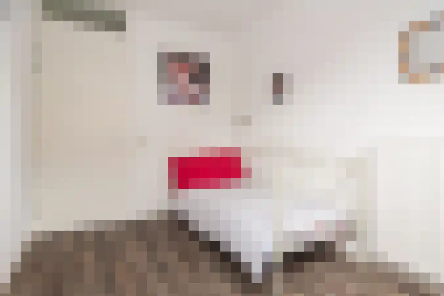 Het Roombeekhofje 8 Enschede thumbnail 22