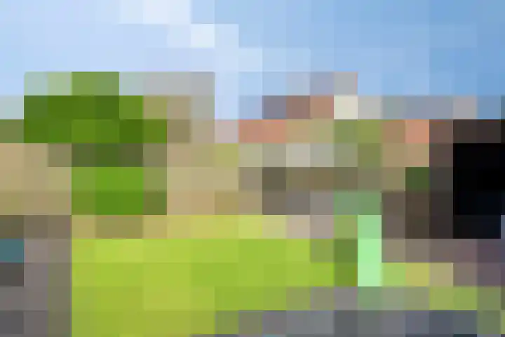 het Rosbach 26 Geesteren thumbnail 35
