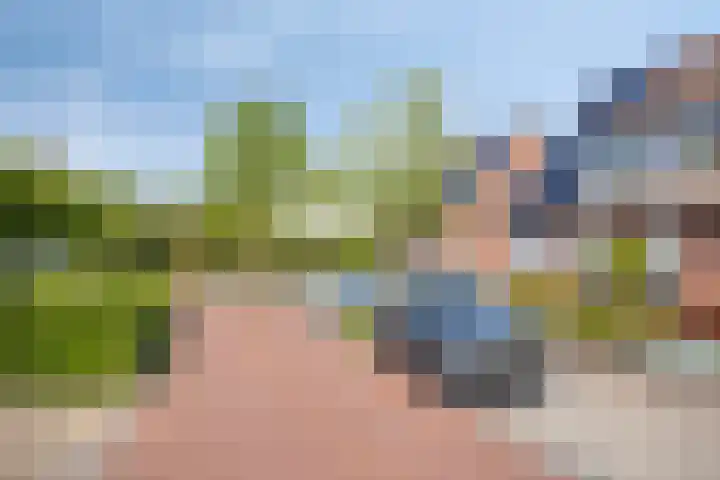 het Rosbach 26 Geesteren thumbnail 38