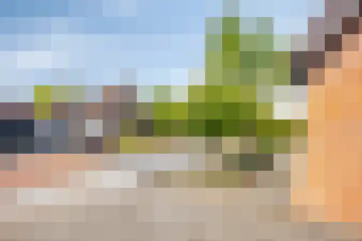 het Rosbach 26 Geesteren thumbnail 39