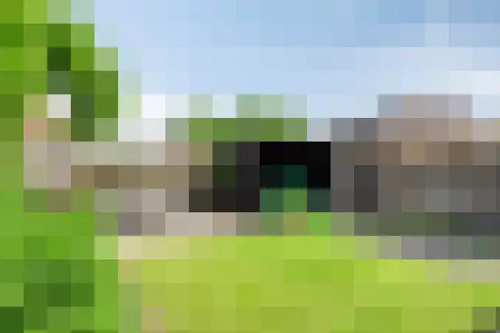 het Rosbach 26 Geesteren thumbnail 4