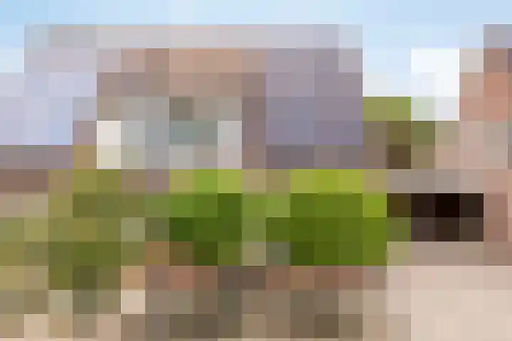 het Rosbach 26 Geesteren thumbnail 41