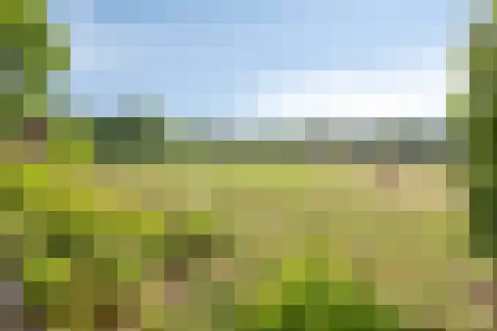 het Rosbach 26 Geesteren thumbnail 43
