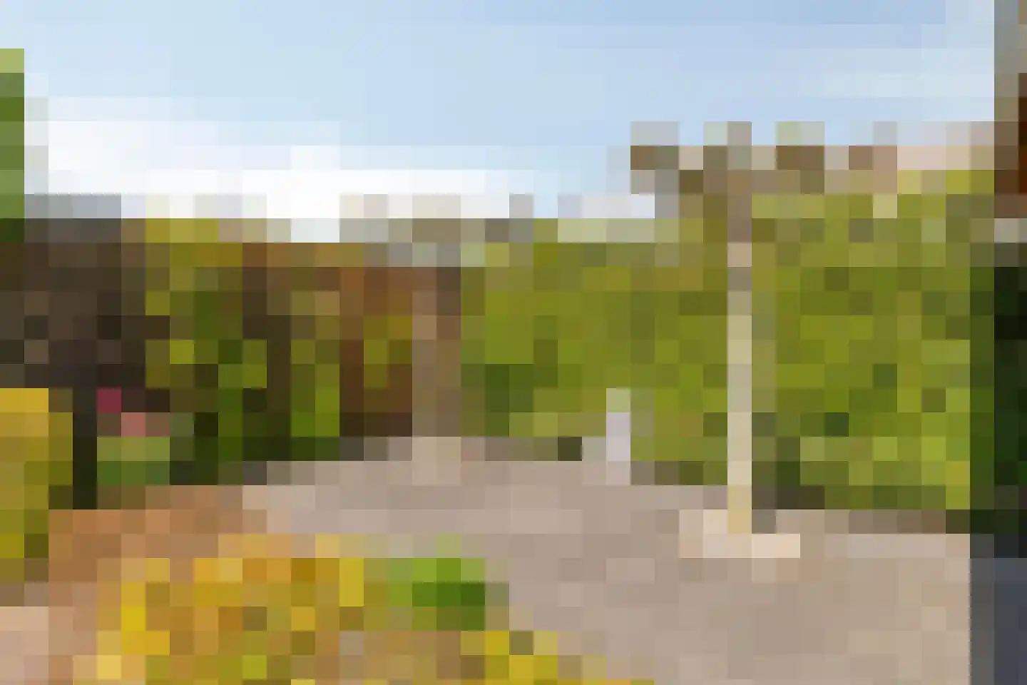 Het Ruige Veld 9 Barneveld thumbnail 37