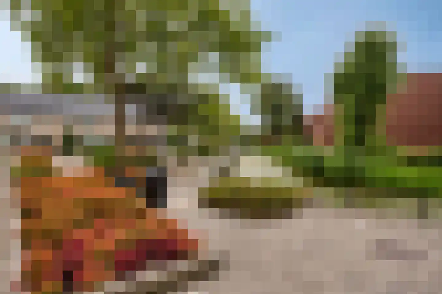 Het Ruim 16 Barendrecht thumbnail 36
