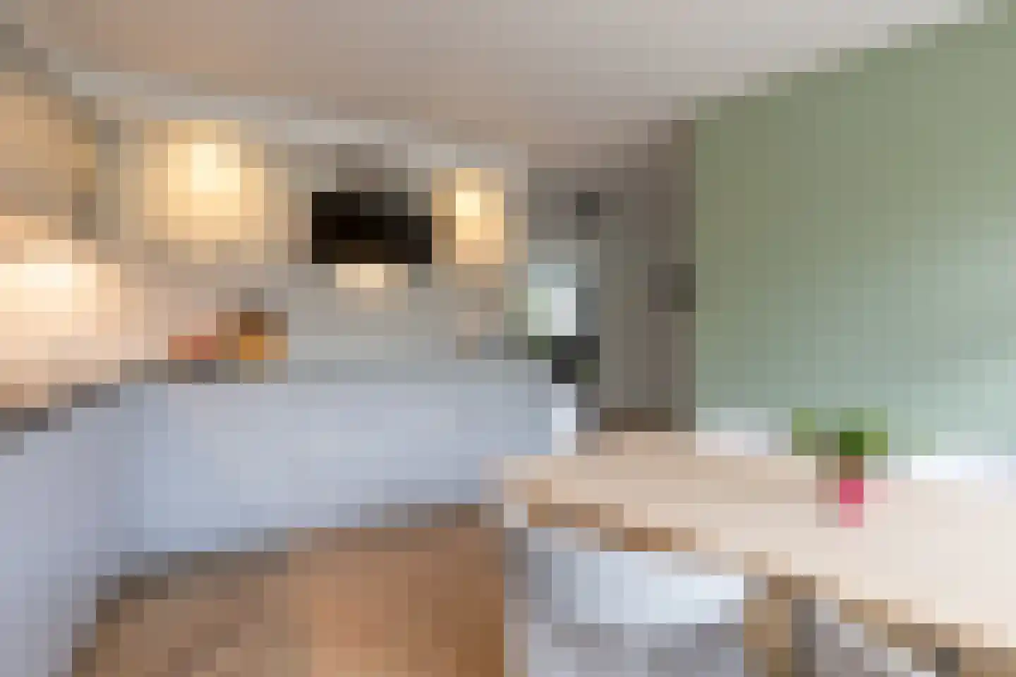 Het Ruim 3 Amersfoort thumbnail 19