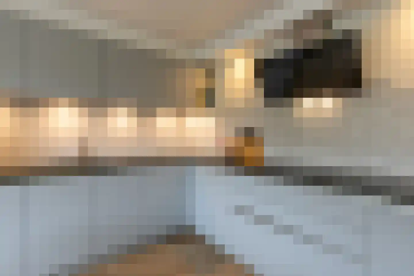 Het Ruim 3 Amersfoort thumbnail 20