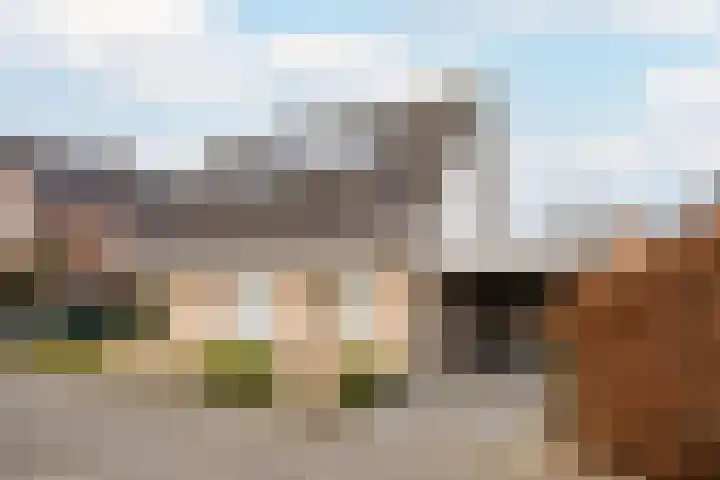 Het Ruiterpad 4 Dronten