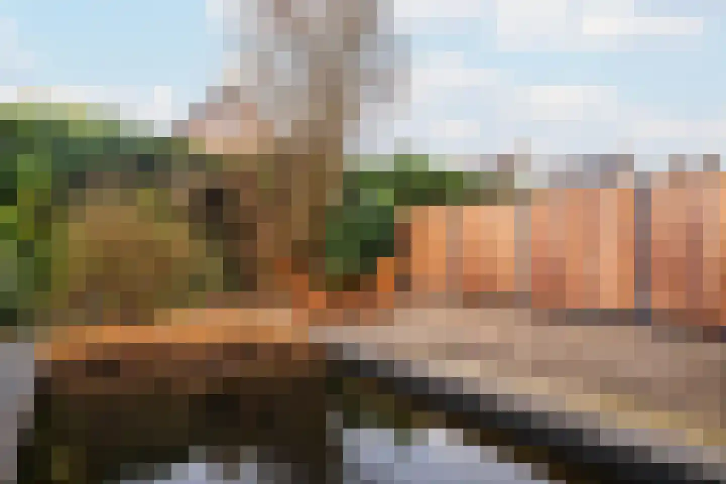 Het Ruiterpad 4 Dronten thumbnail 32