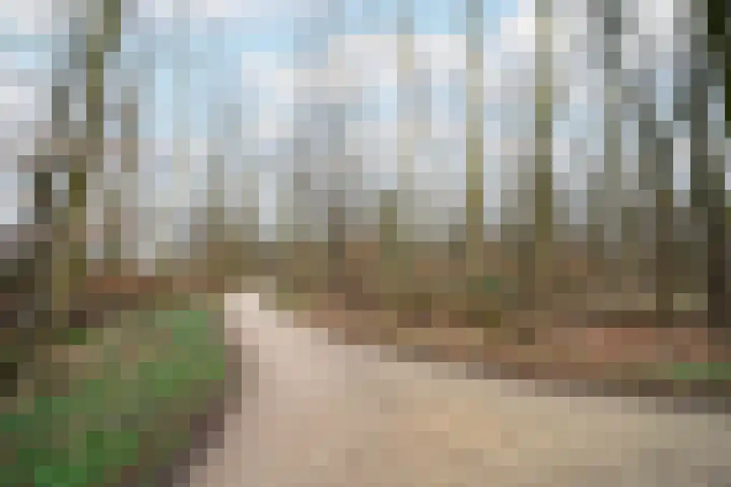 Het Ruiterpad 4 Dronten thumbnail 37