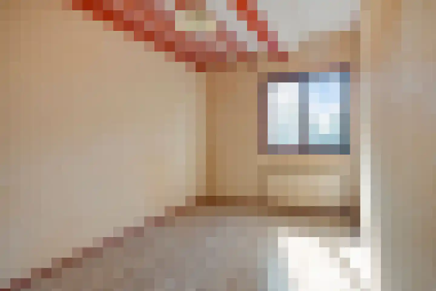 Het Salm 25 Zaandam thumbnail 19