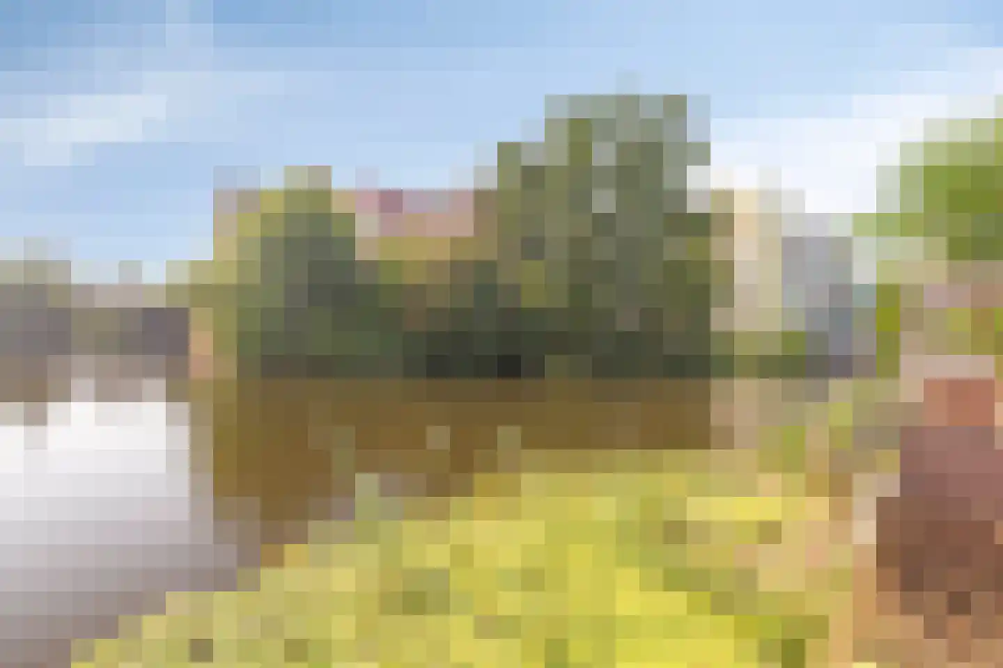 Het Salm 25 Zaandam thumbnail 30