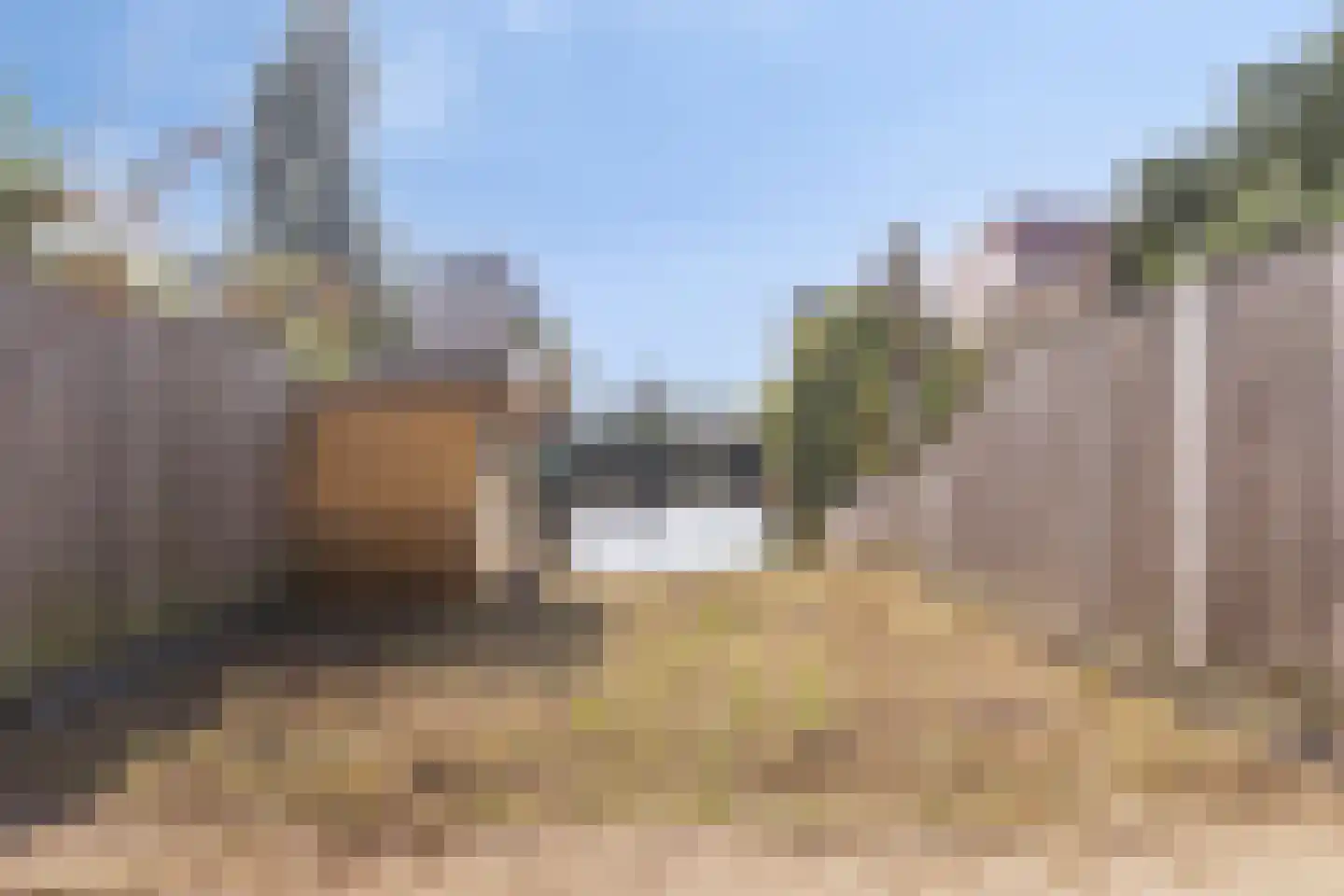 Het Salm 25 Zaandam thumbnail 4