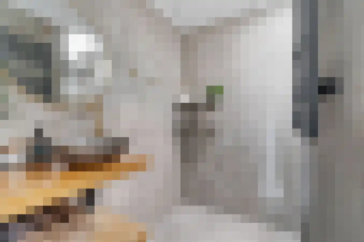 Het Sander 20 Enschede thumbnail 4