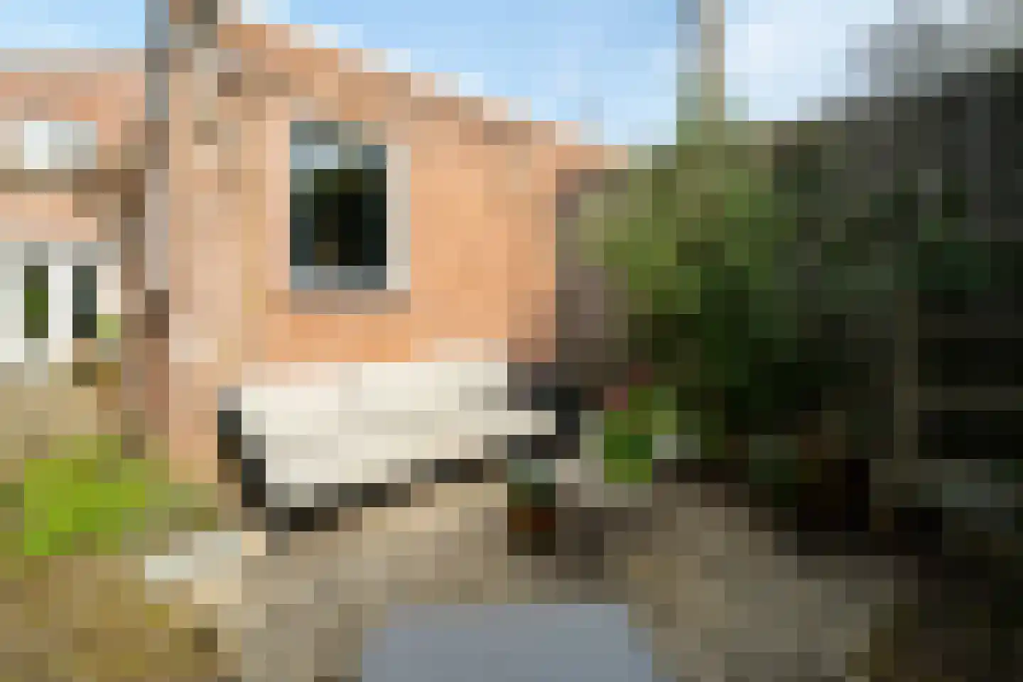 Het Sander 20 Enschede thumbnail 45