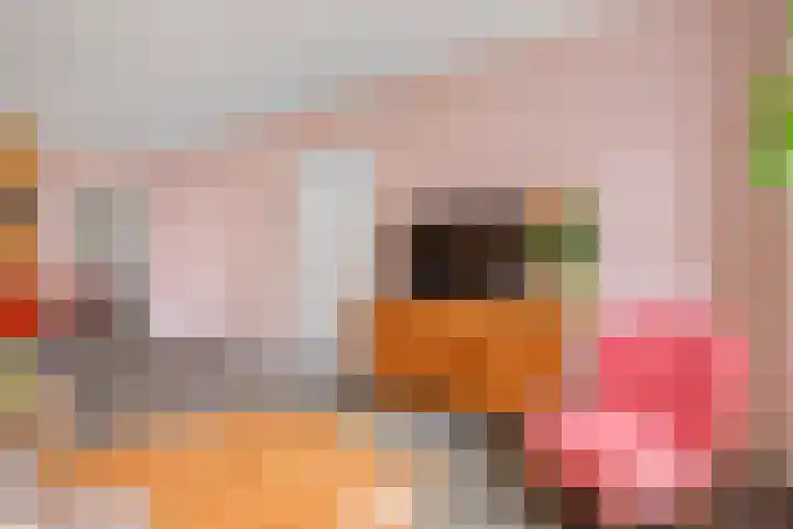 Het Sander 22 Enschede thumbnail 10