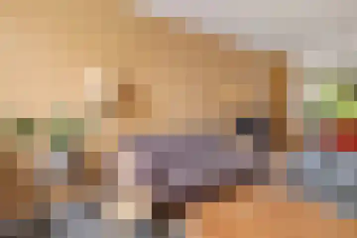 Het Sander 22 Enschede thumbnail 11