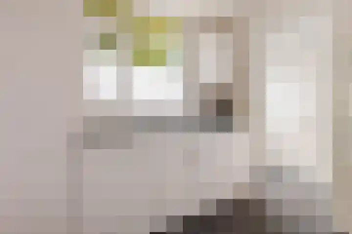 Het Sander 22 Enschede thumbnail 18