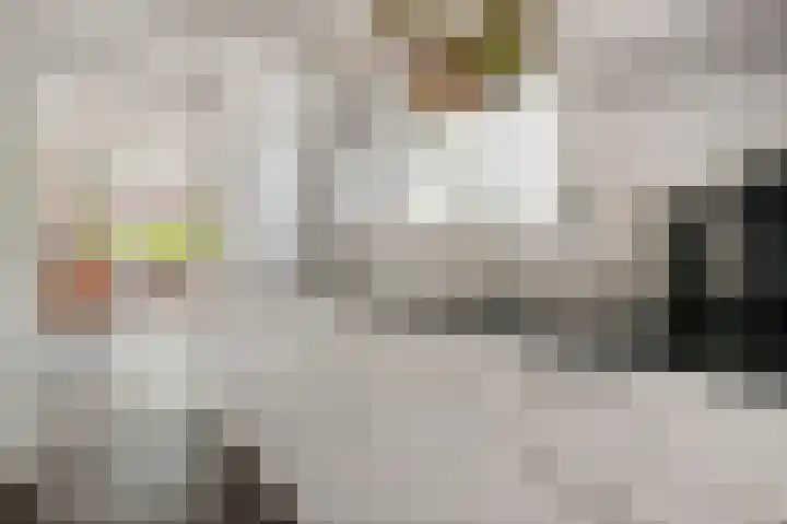 Het Sander 22 Enschede thumbnail 19