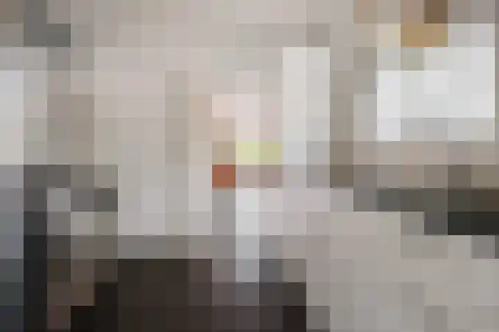 Het Sander 22 Enschede thumbnail 21