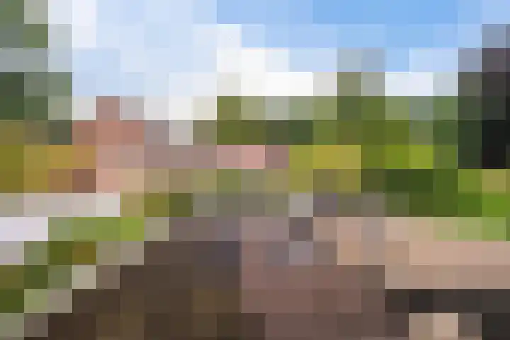 Het Sander 22 Enschede thumbnail 41