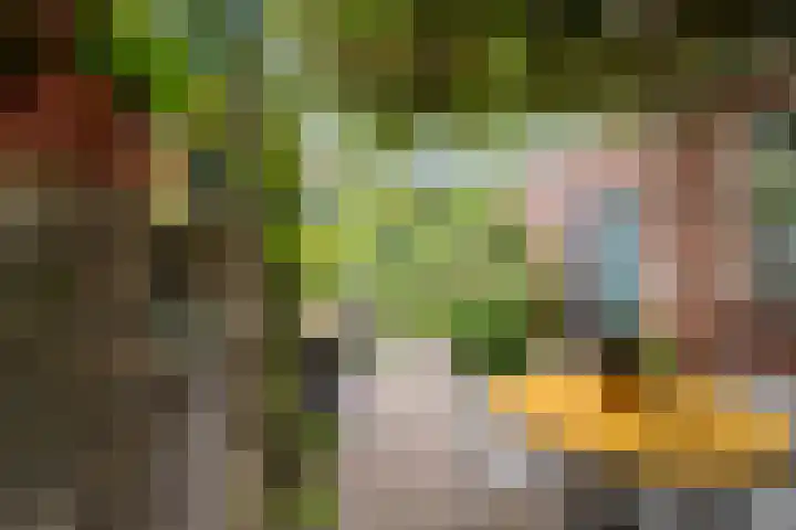 Het Sander 22 Enschede thumbnail 42
