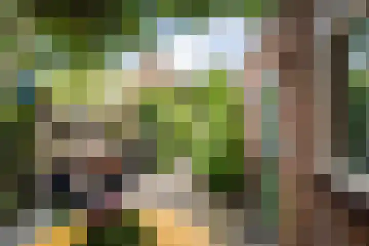 Het Sander 22 Enschede thumbnail 43