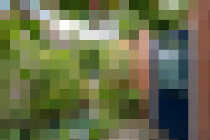 Het Sander 22 Enschede thumbnail 45