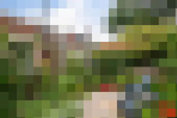 Het Sander 22 Enschede thumbnail 46