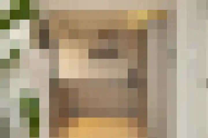 het Sant 12 Maasbommel thumbnail 10