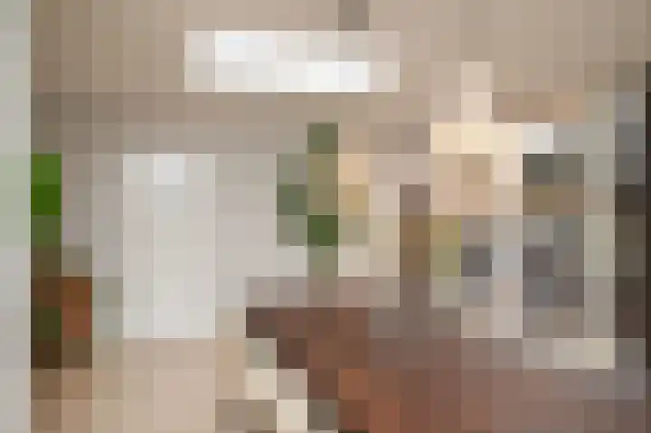 het Sant 12 Maasbommel thumbnail 13