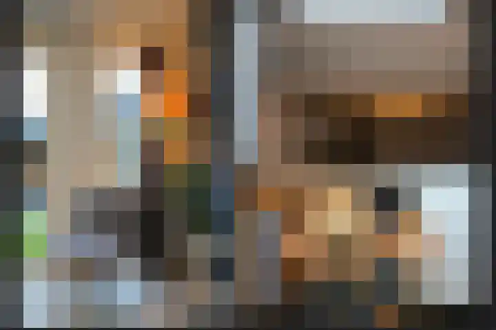 het Sant 12 Maasbommel thumbnail 14