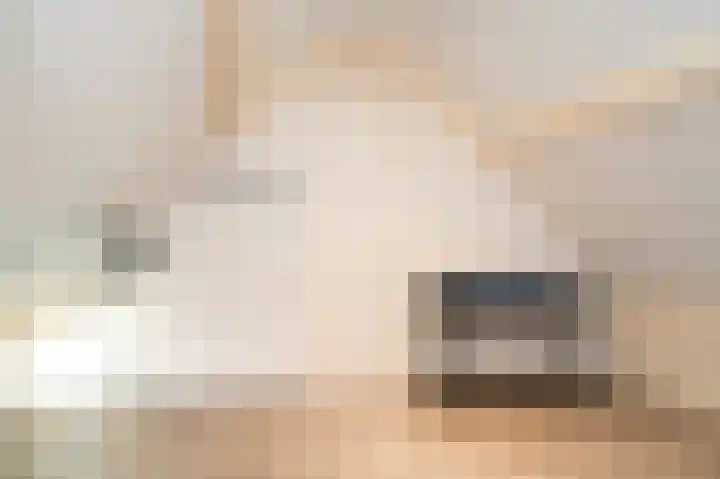 het Sant 12 Maasbommel thumbnail 29