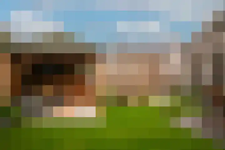 het Sant 12 Maasbommel thumbnail 32