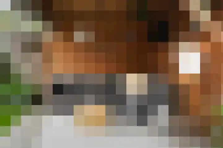 het Sant 12 Maasbommel thumbnail 33
