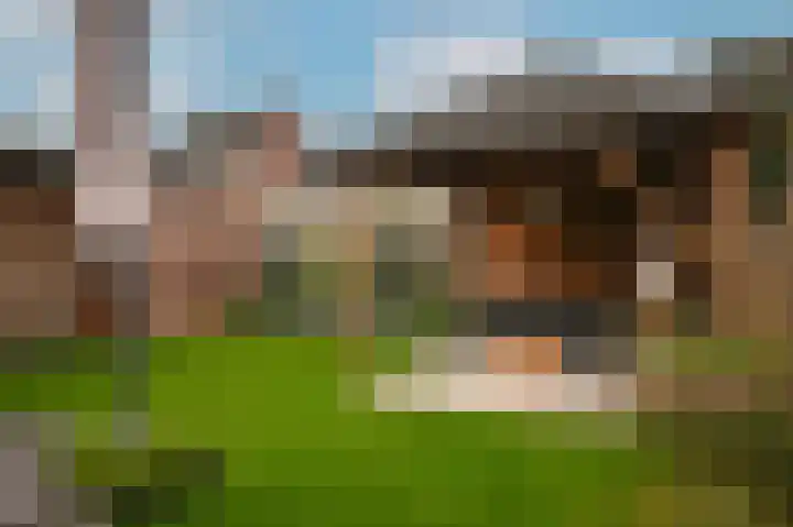 het Sant 12 Maasbommel thumbnail 36