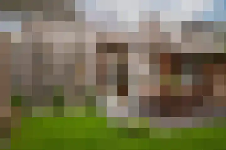 het Sant 12 Maasbommel thumbnail 38