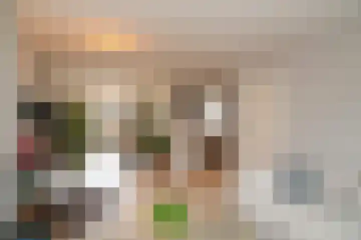 het Sant 12 Maasbommel thumbnail 4