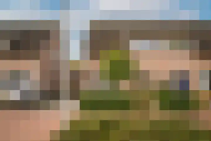 het Sant 12 Maasbommel thumbnail 40