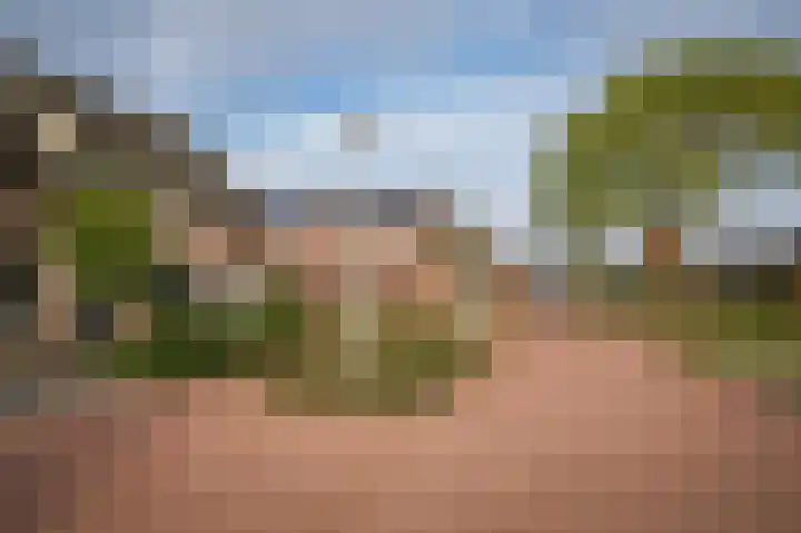 het Sant 12 Maasbommel thumbnail 41