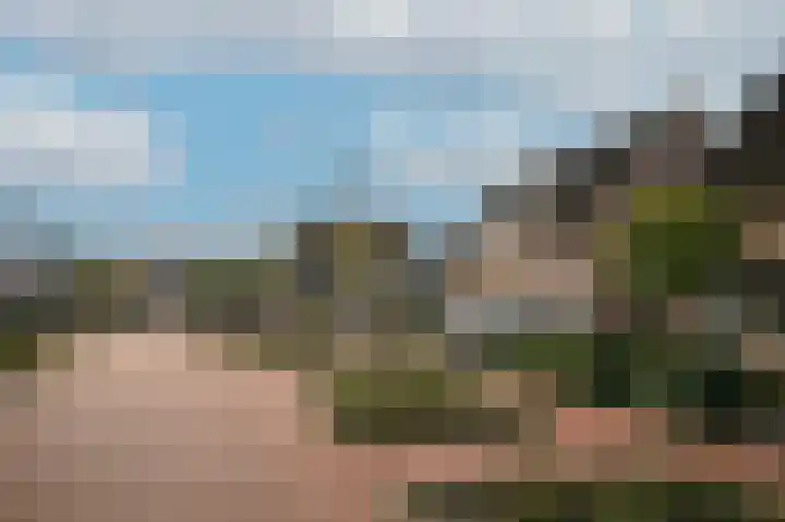 het Sant 12 Maasbommel thumbnail 42